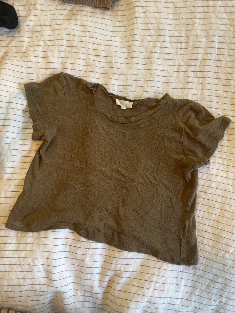 Ozma Silk Cropped Tee